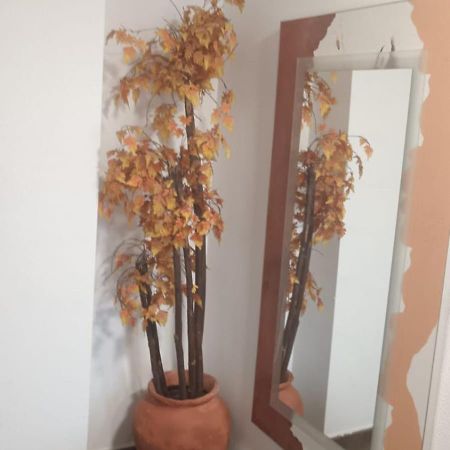 Apartamento Gloria Patricia Alcantarilla  Exterior photo